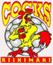 HC Cocks Riihimaki