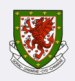 Wales U-19