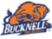 Bucknell Bison