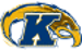 Kent State Golden Flashes