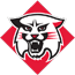 Davidson Wildcats