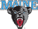Maine Black Bears