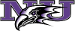 Niagara Purple Eagles