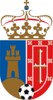 CF Pozuelo de Alarc&oacute;n