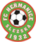 FC Hermanice Slezsk&aacute;